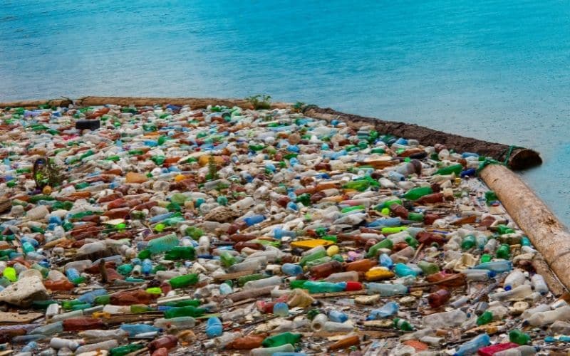 The Impact of Sailing on Marine Ecosystems: How to Minimize Harm